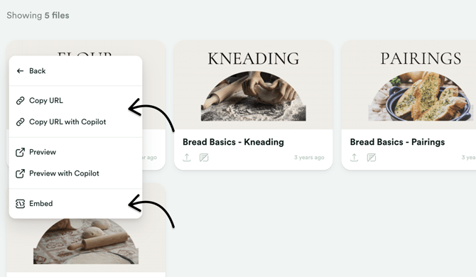 Choose Copy URL or Embed