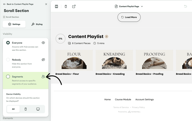 Choose Segments under Section Visibility