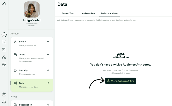 Click Create Audience Attributes