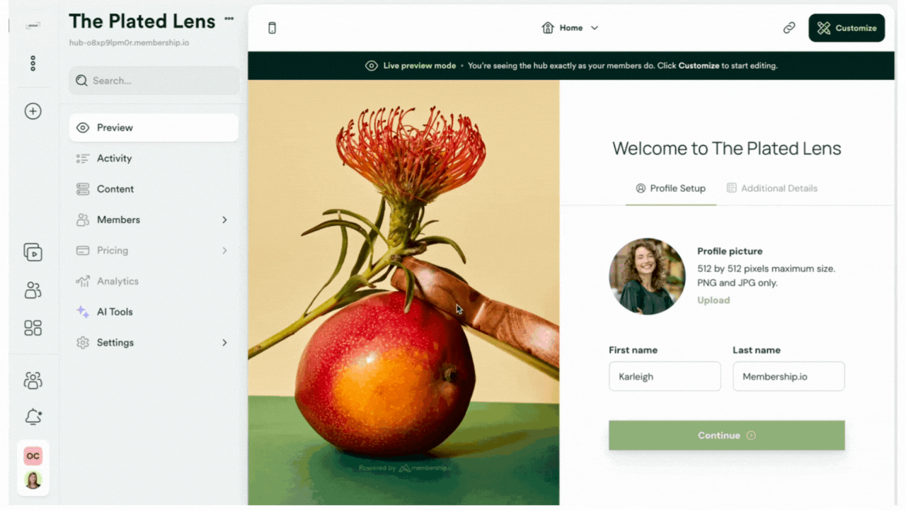 Custom Email Host