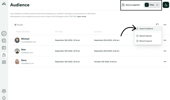 Export segmented audience