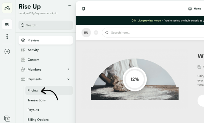 Go to Hub Payments - Pricing