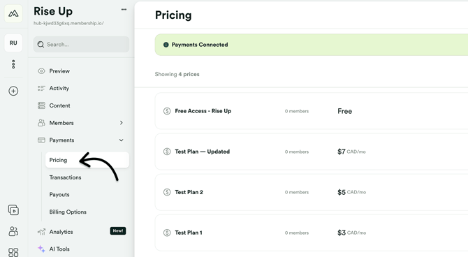 Go to Payments - Pricing