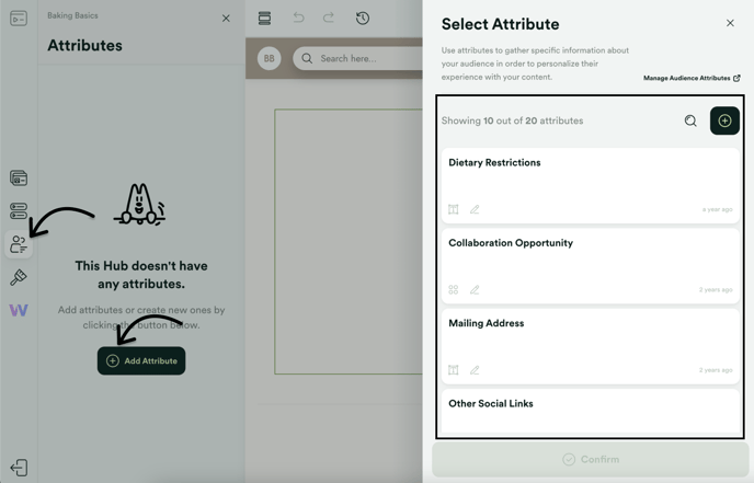 Import or Add new audience attributes