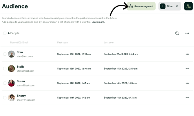 Save your audience filter as segment