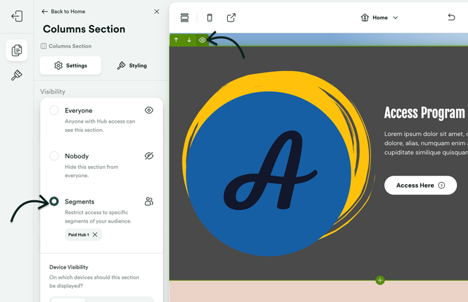 Setting Hub section visibility to Segment only