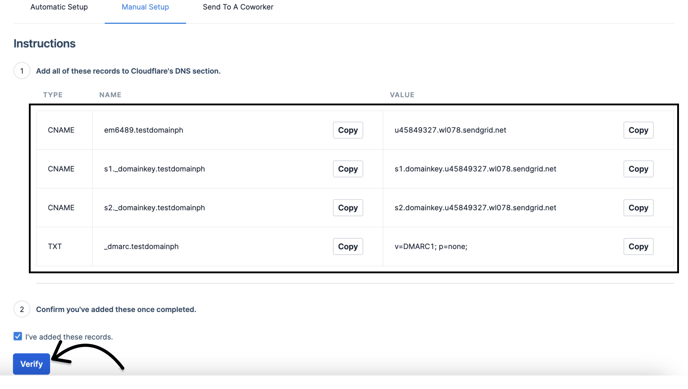 Verify DNS records